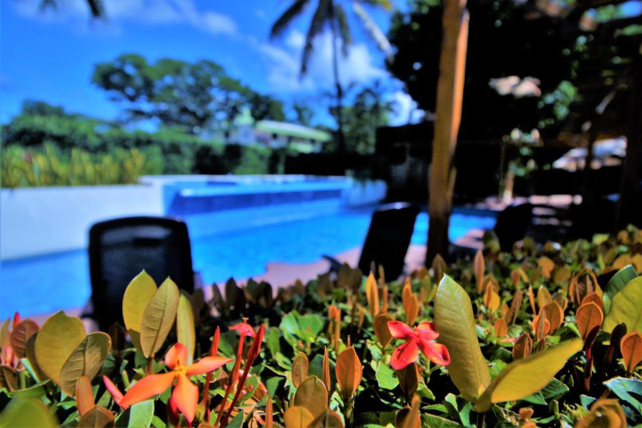 Hotel Maya Tulipanes パレンケ エクステリア 写真