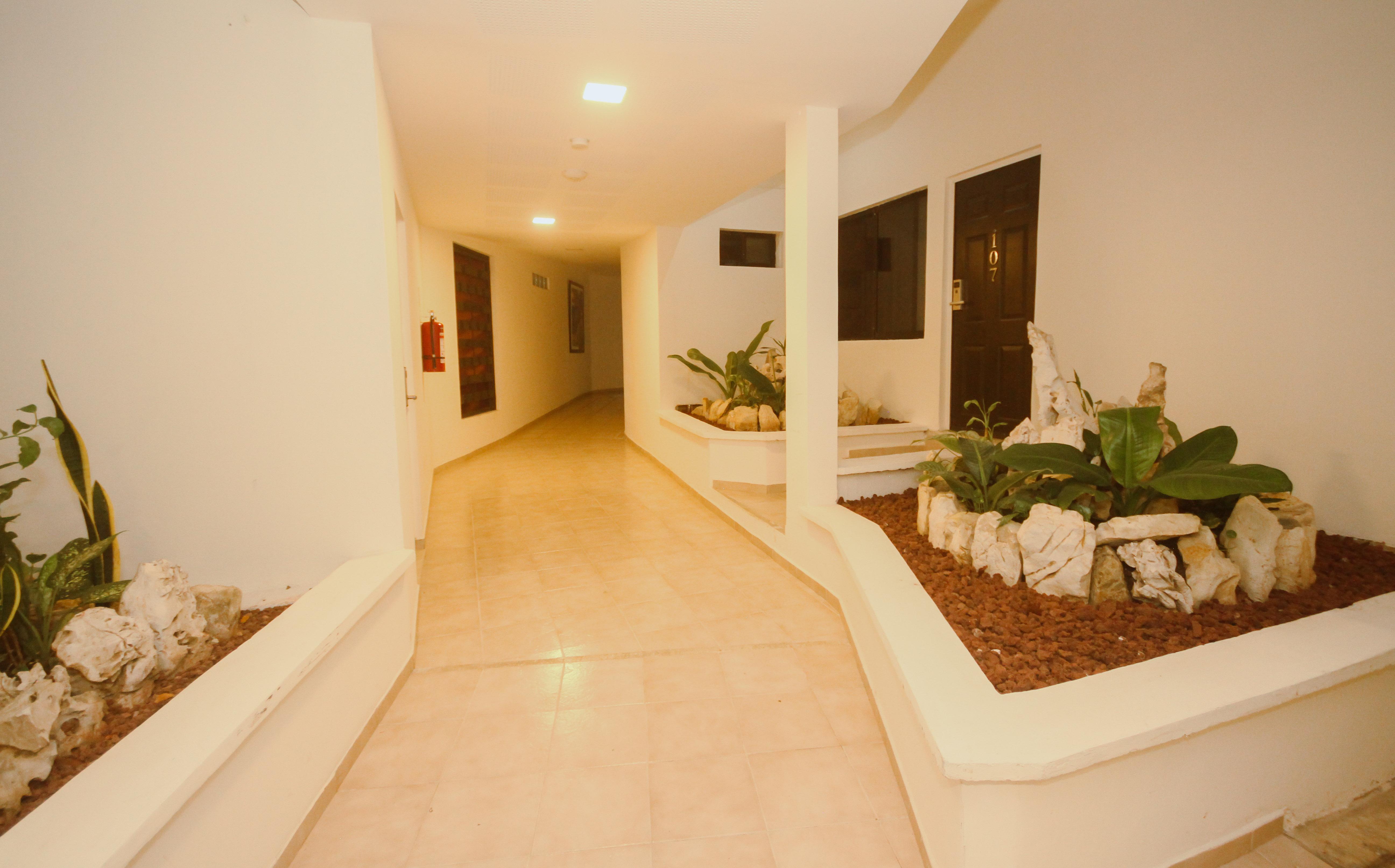 Hotel Maya Tulipanes パレンケ エクステリア 写真